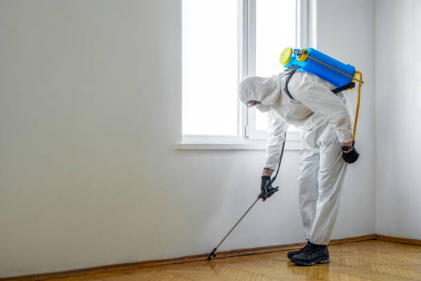 Best Exterminator Services  in Orleans, VT