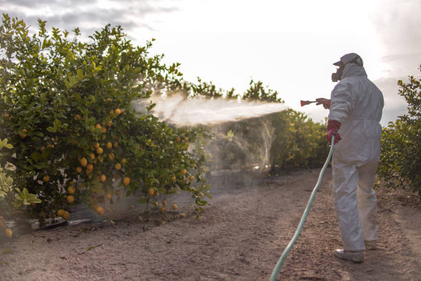 Best Pest Control Near Me  in Orleans, VT