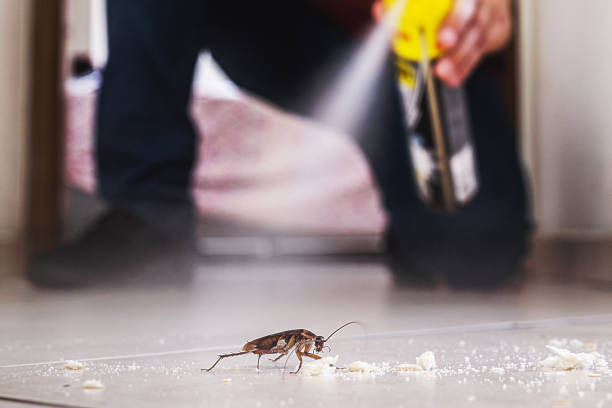 Best Residential Pest Control  in Orleans, VT